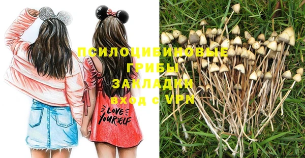 СК Абинск