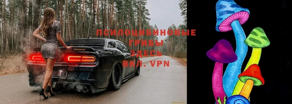 трава Абаза