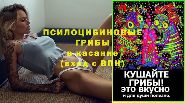 герыч Алексин