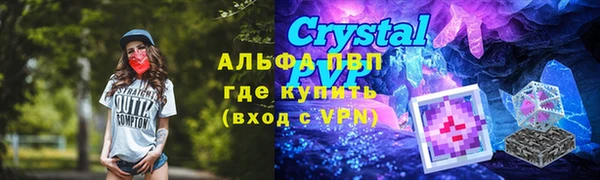 трава Абаза